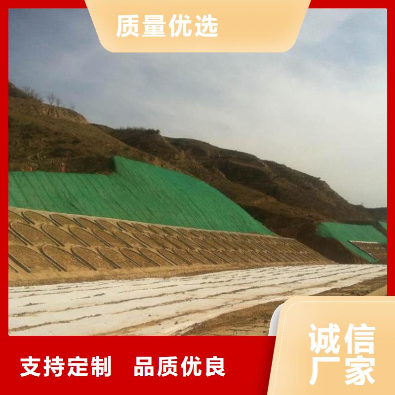 三维植被网土工格室当日价格
