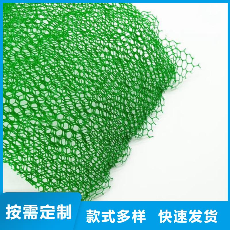 三维植被网土工格室当日价格