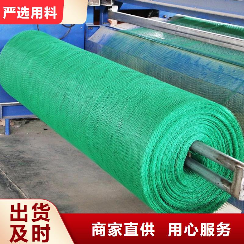 三维植被网土工格室当日价格