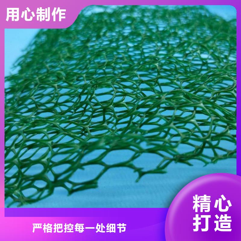 三维植被网土工格室当日价格