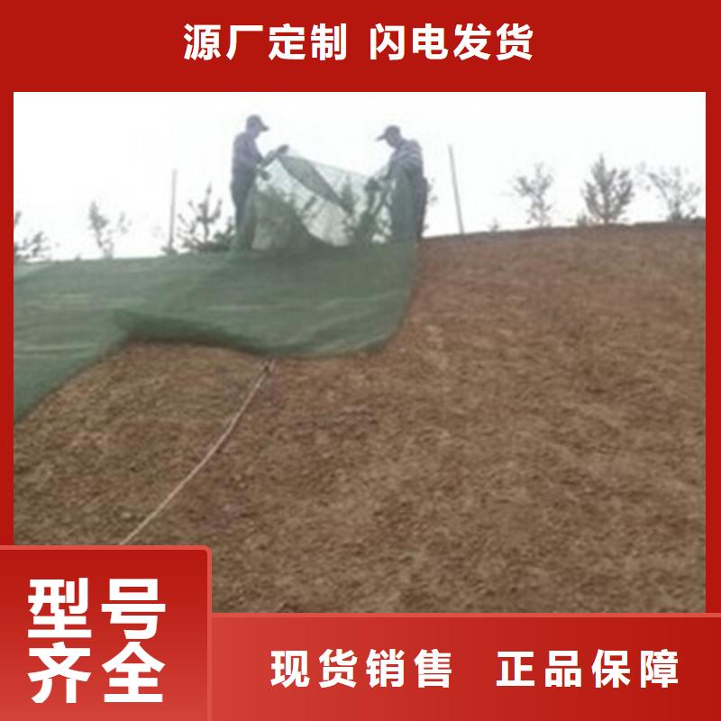 三维植被网土工格室当日价格