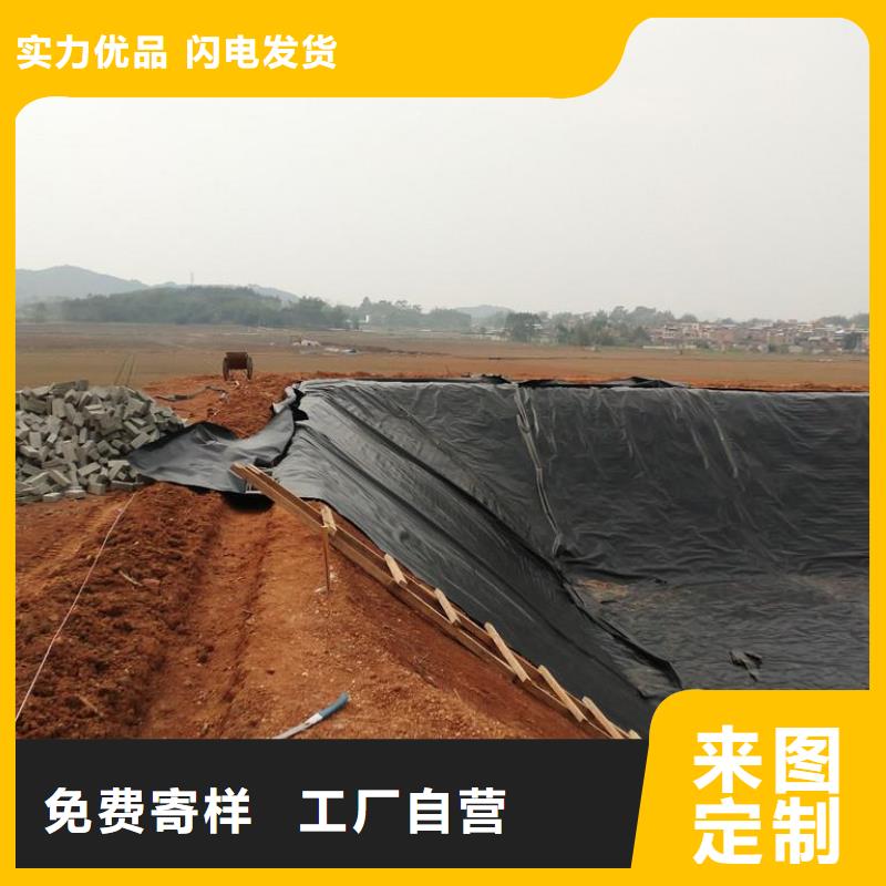 【土工膜】护坡土工网支持非标定制