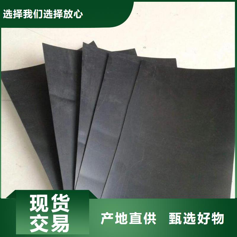 【土工膜】护坡土工网支持非标定制