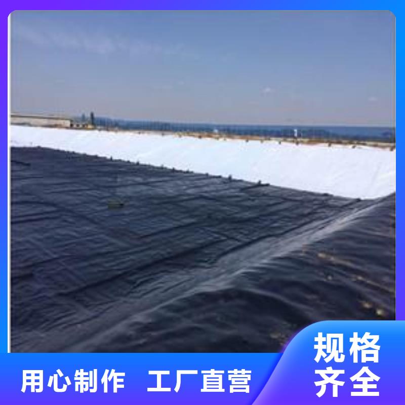 【土工膜三维土工网垫专业生产品质保证】