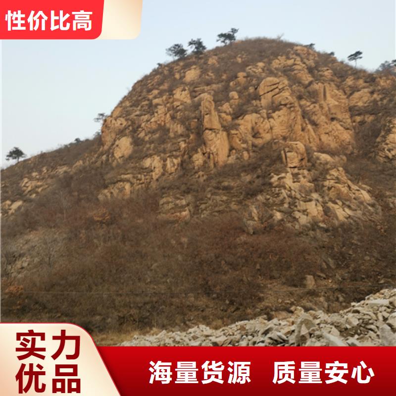 出租10KV发电车售后完善直供厂家送货到家