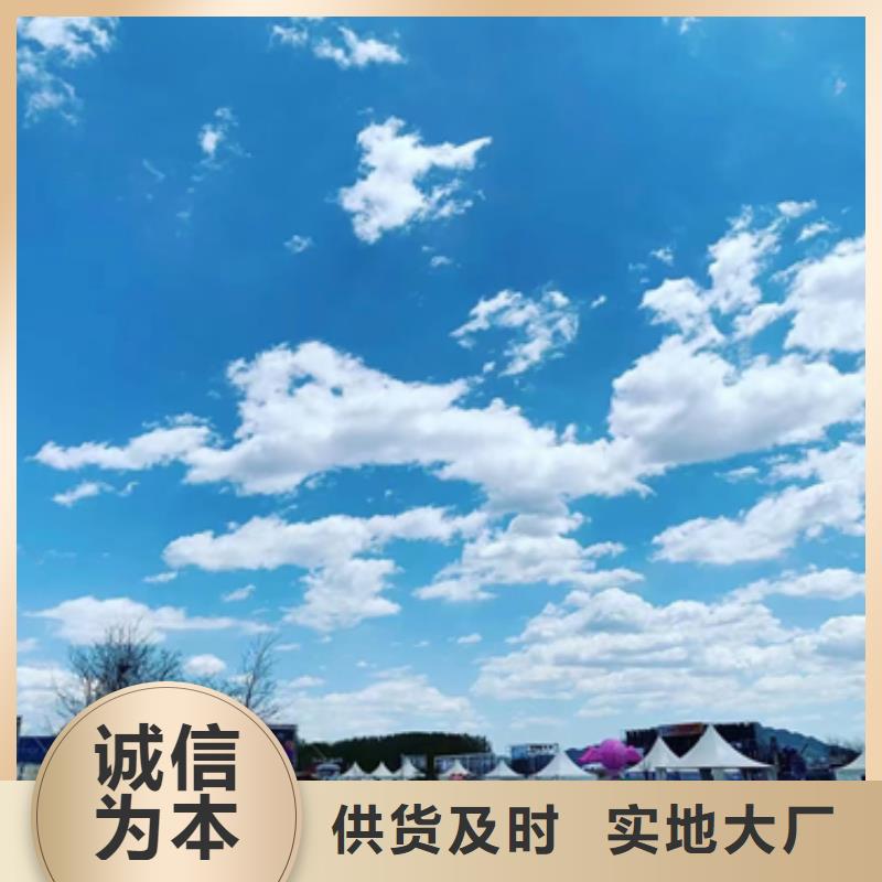 改装发电机系统