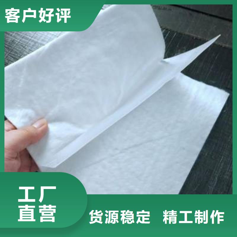 两布一膜防渗膜厂家