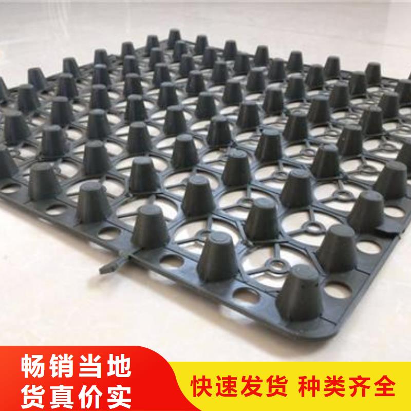 2cm屋顶绿化用排水板凹凸型塑料排水板价格