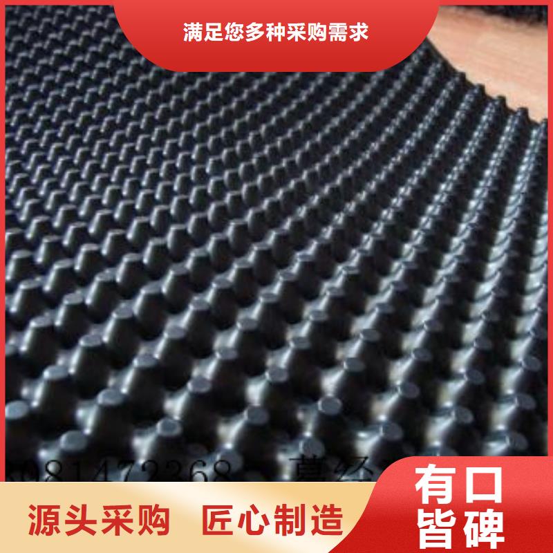 2cm屋顶绿化用排水板凹凸型塑料排水板价格