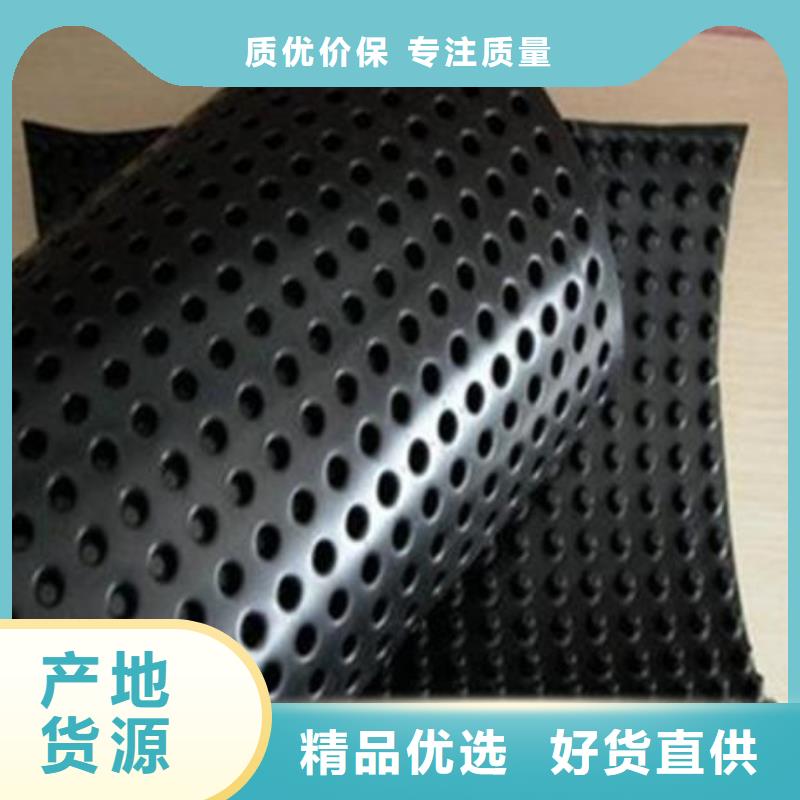 2cm屋顶绿化用排水板凹凸型塑料排水板价格