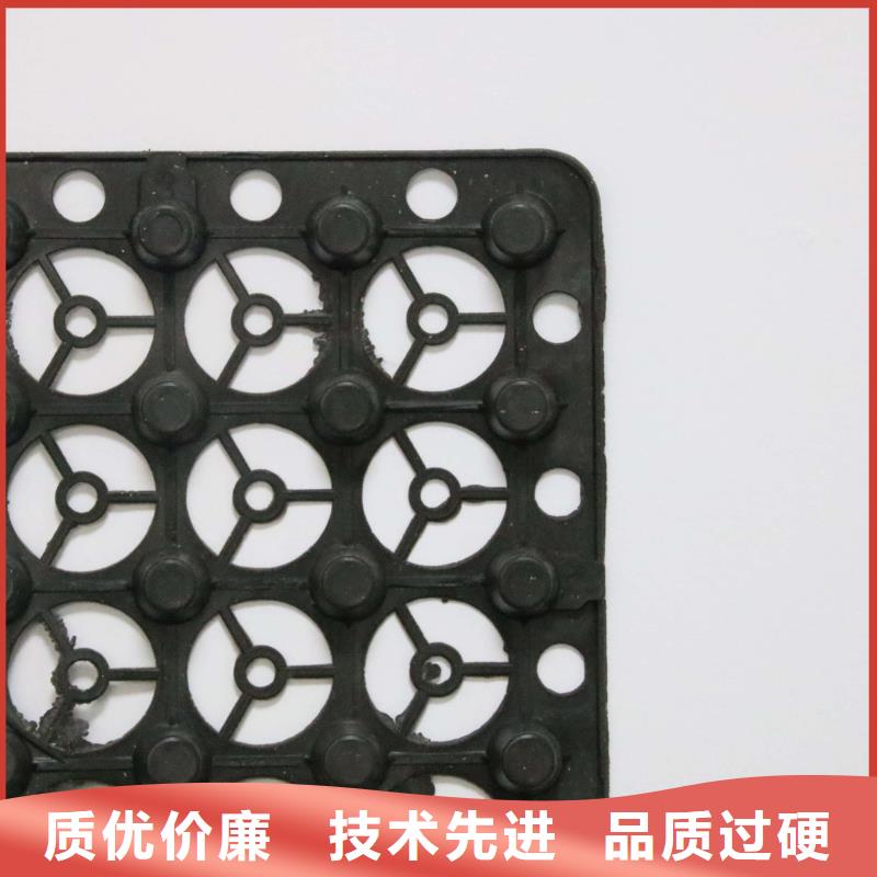 2cm屋顶绿化用排水板凹凸型塑料排水板价格