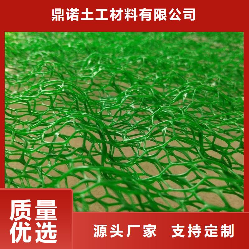 三维植被网厂家植被网看厂家