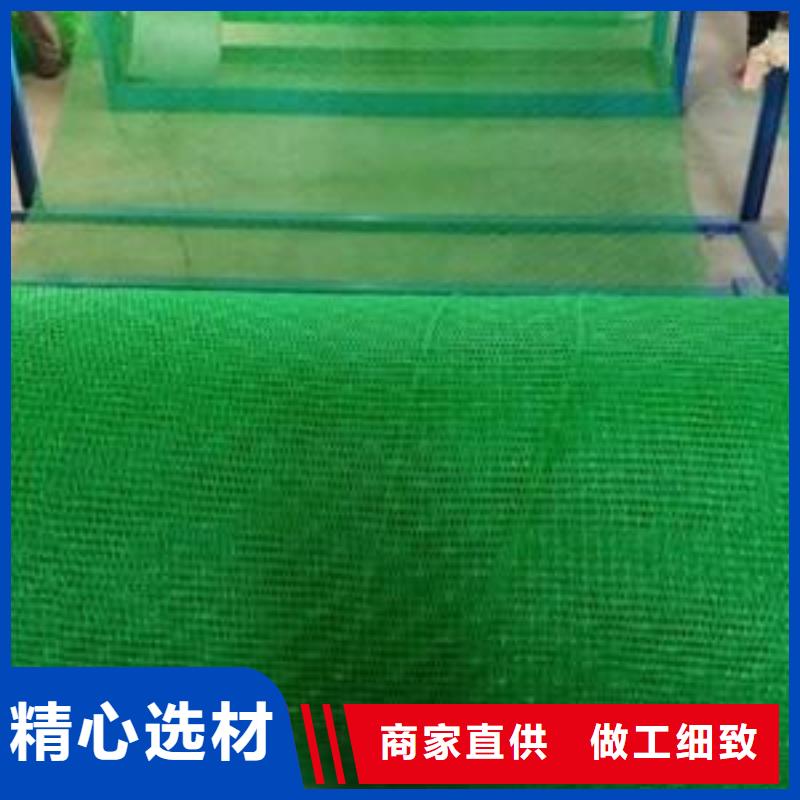 三维植被网厂家植被网看厂家