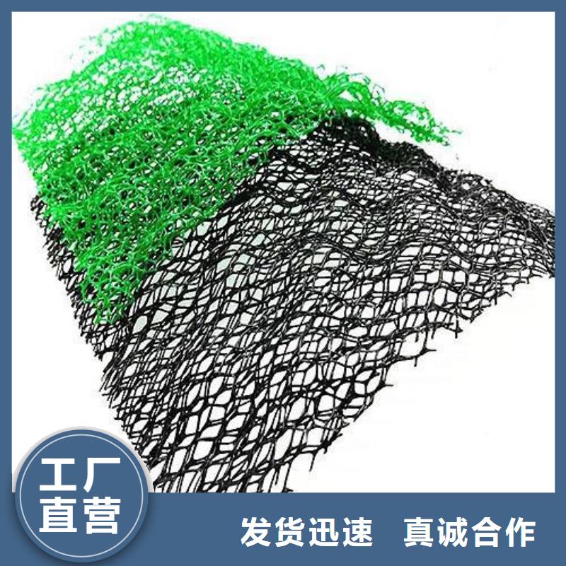 三维植被网厂家植被网看厂家