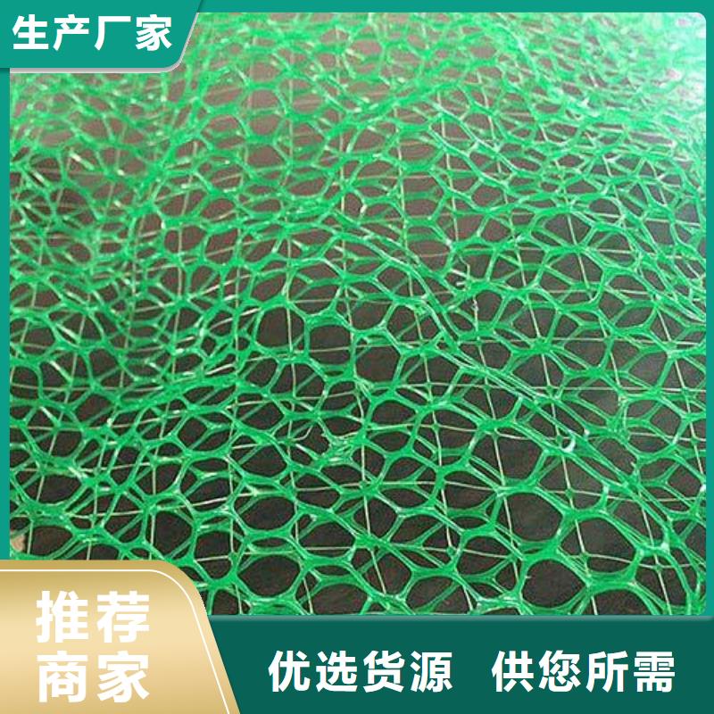 三维植被网厂家植被网看厂家