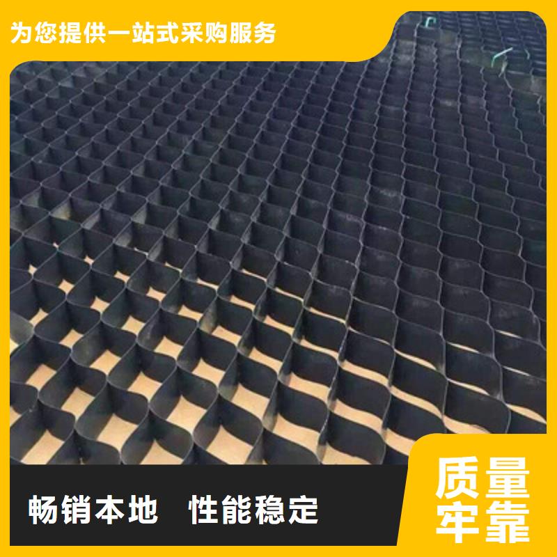 土工格室三维植被网可零售可批发