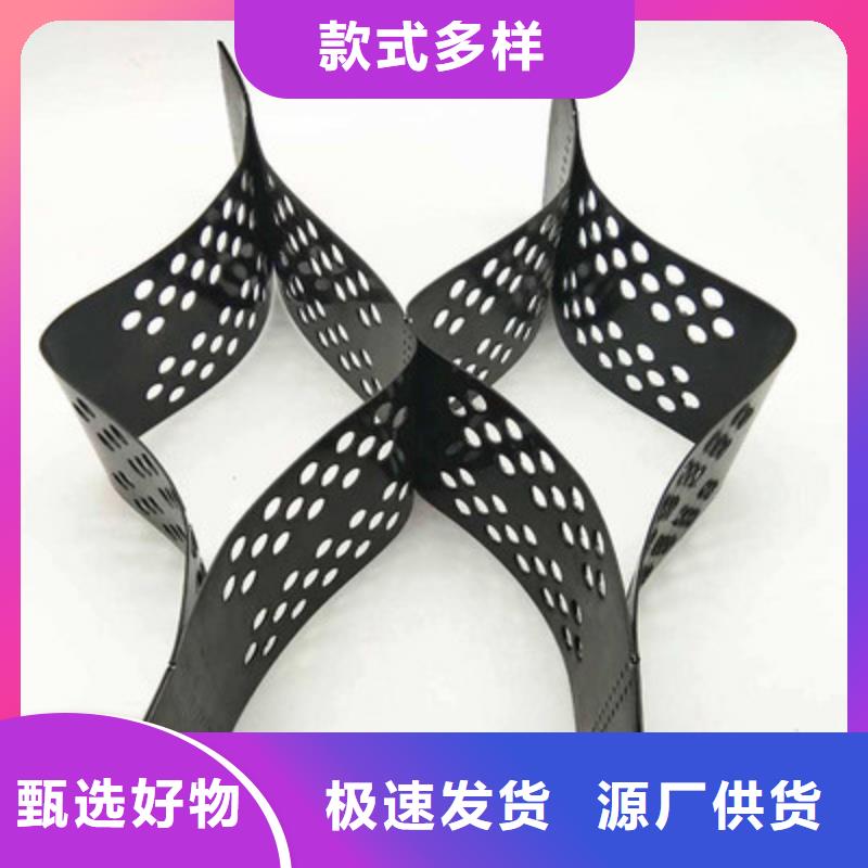 土工格室三维植被网可零售可批发