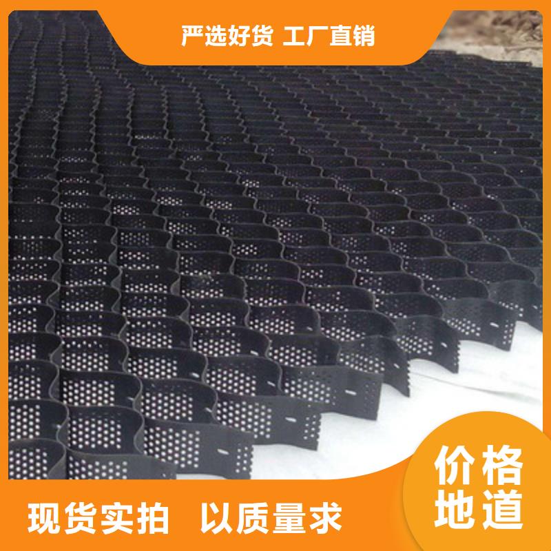 土工格室三维复合排水网多种规格供您选择