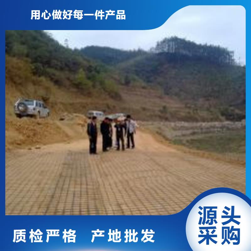 钢塑土工格栅_专业土工格栅服务