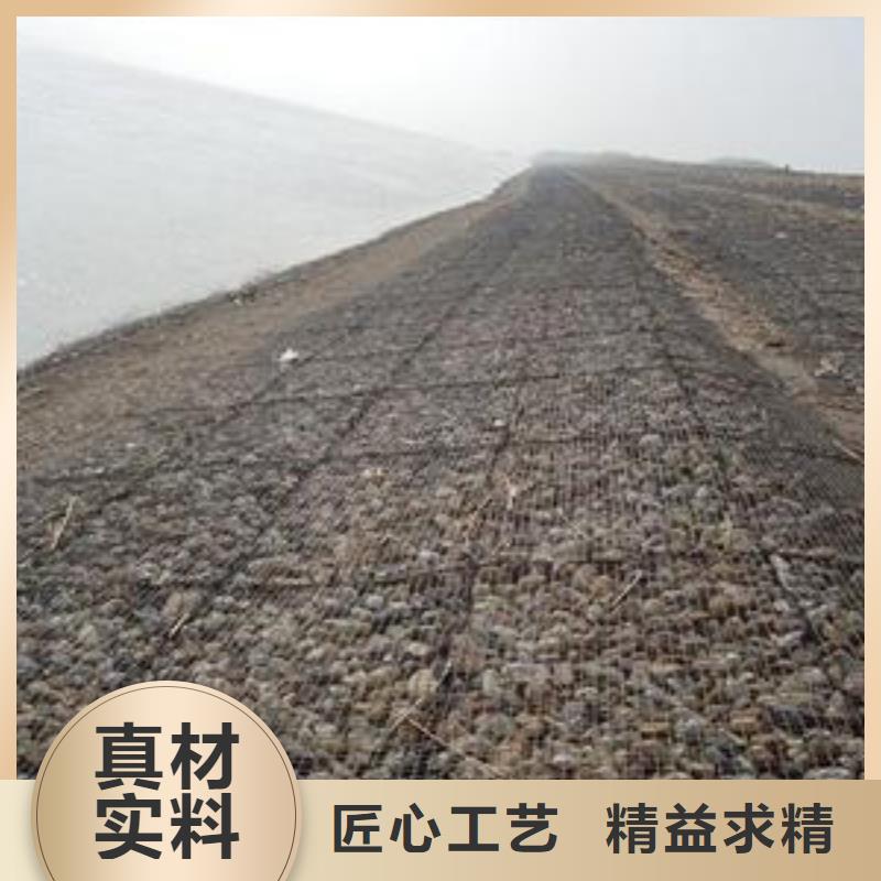 【钢塑土工格栅钢塑土工格栅厂家品质信得过】