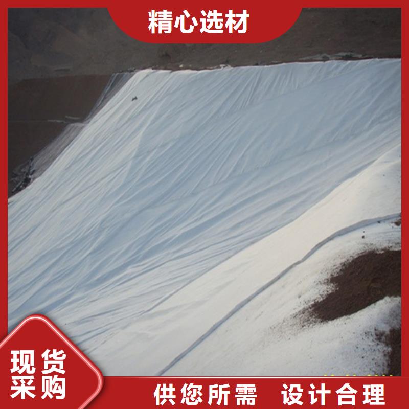 防渗土工布厂家现场指导施工