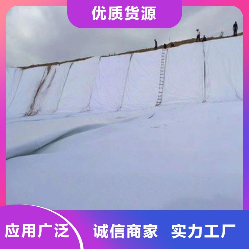 土工布-土工膜-长丝土工布-复合土工膜