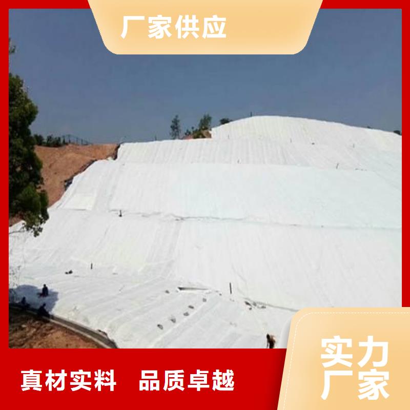 有纺土工布生产厂家