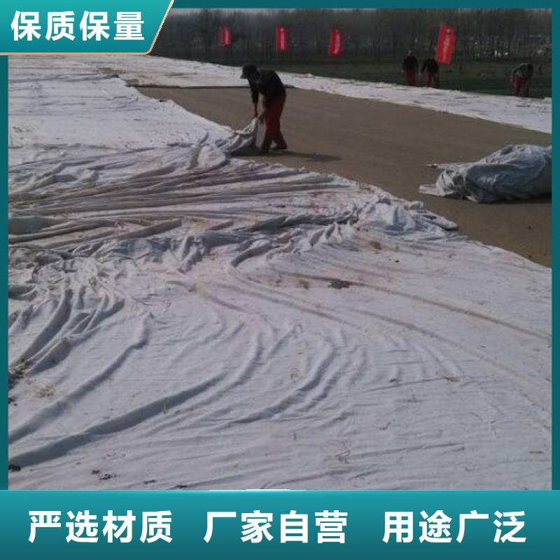 短丝土工布价格