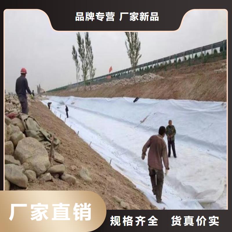 土工布是什么,有什么特点和用途