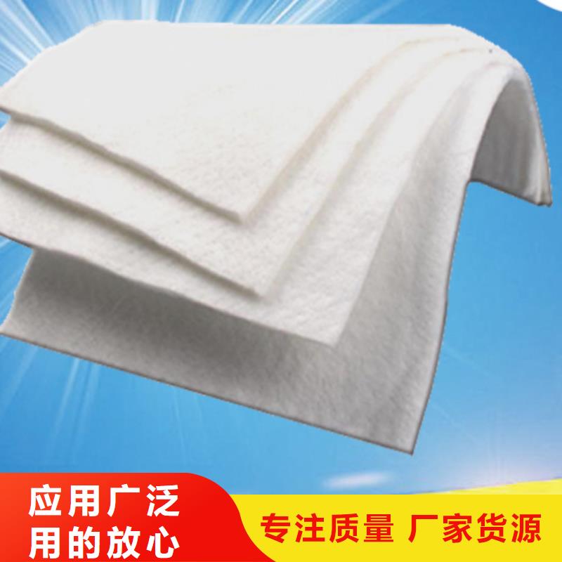 有纺土工布生产厂家