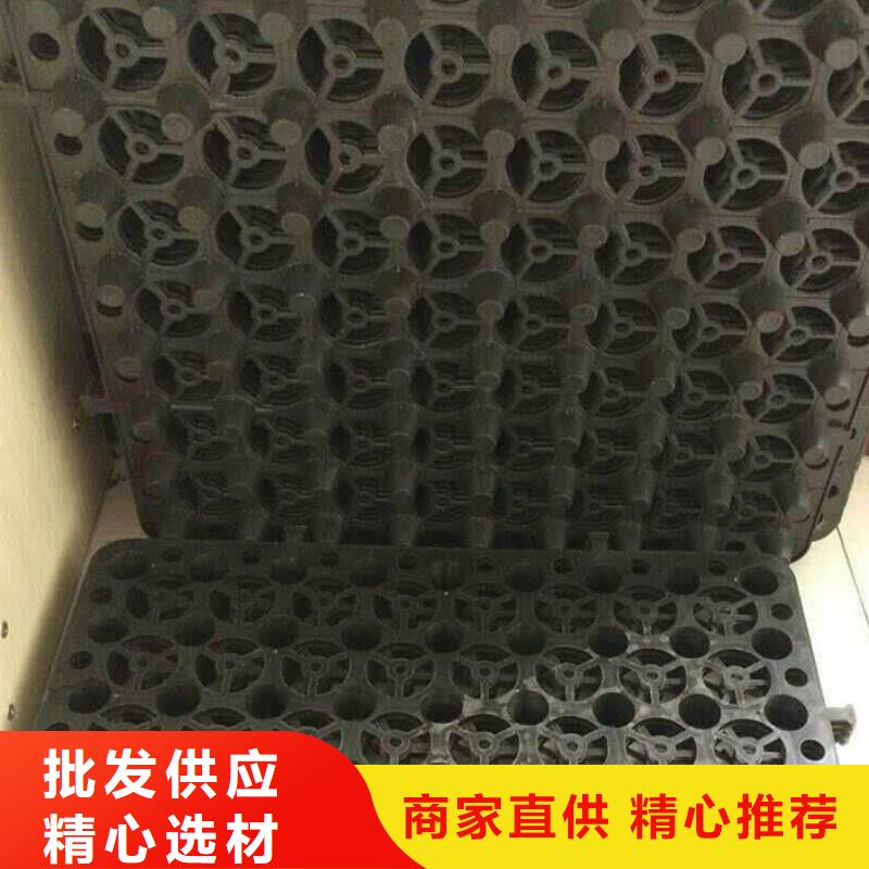 塑料排水板疏水排水