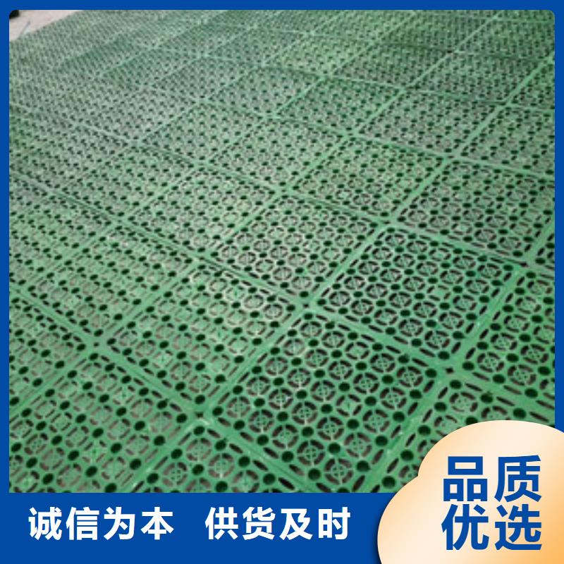 塑料排水板膨润土防水毯优质材料厂家直销