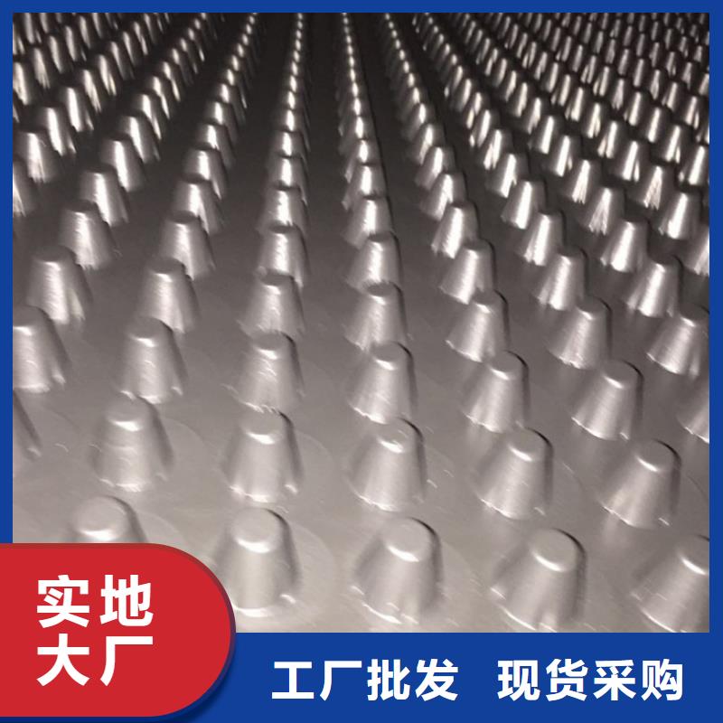 塑料排水板凸结点钢塑土工格栅让客户买的放心