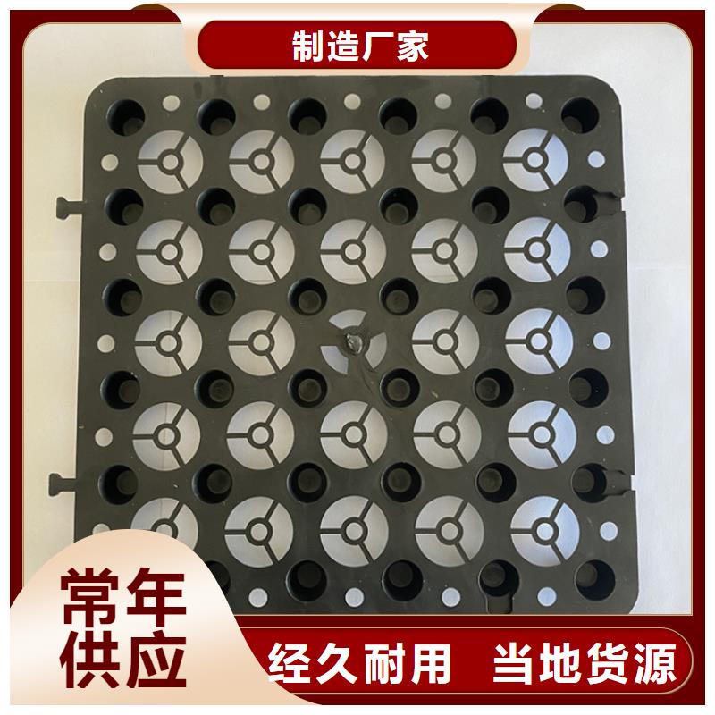 【塑料排水板-钢塑土工格栅厂家生产厂家】
