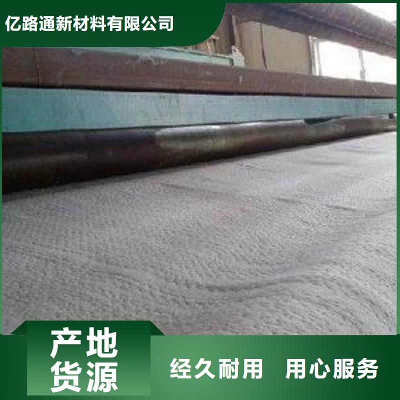 防水毯护坡土工网好品质经得住考验