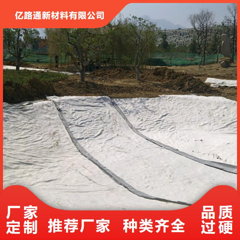 防水毯【双向塑料土工格栅】来图定制