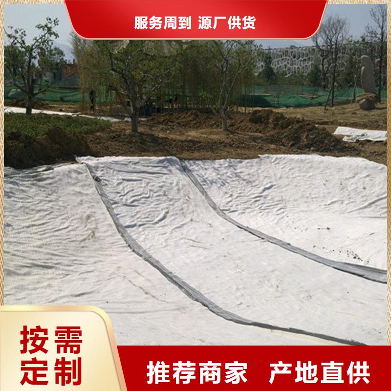 防水毯,塑料排水板实力才是硬道理