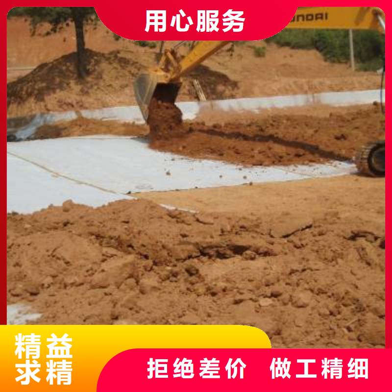 防水毯,塑料排水板实力才是硬道理