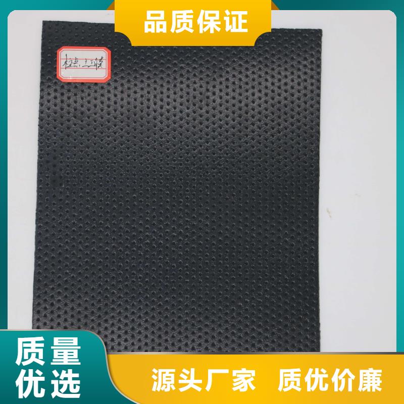 土工膜单向塑料土工格栅实力雄厚品质保障