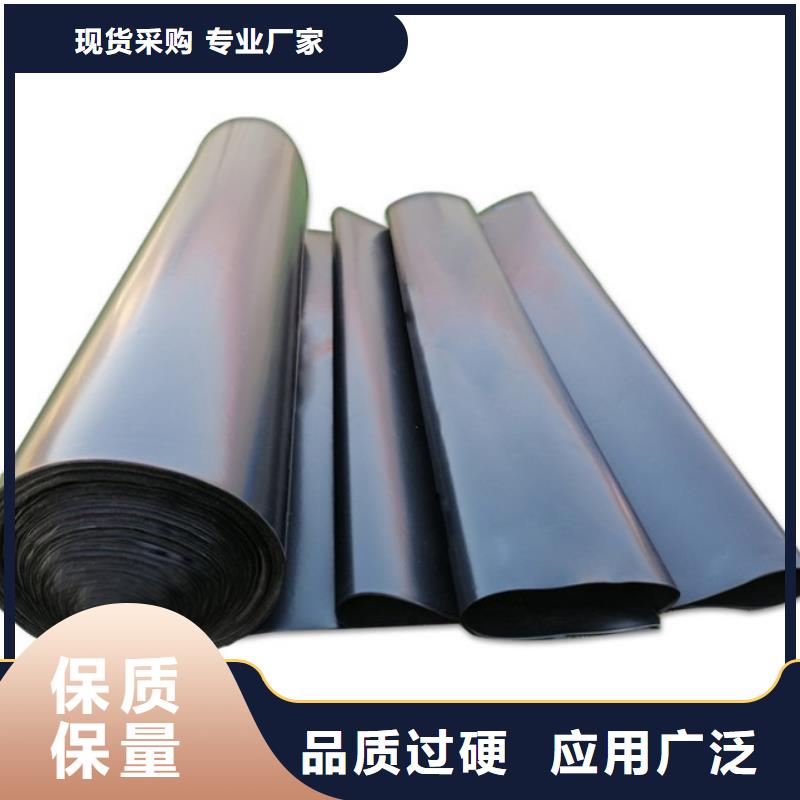 【土工膜聚丙烯双拉土工格栅精挑细选好货】