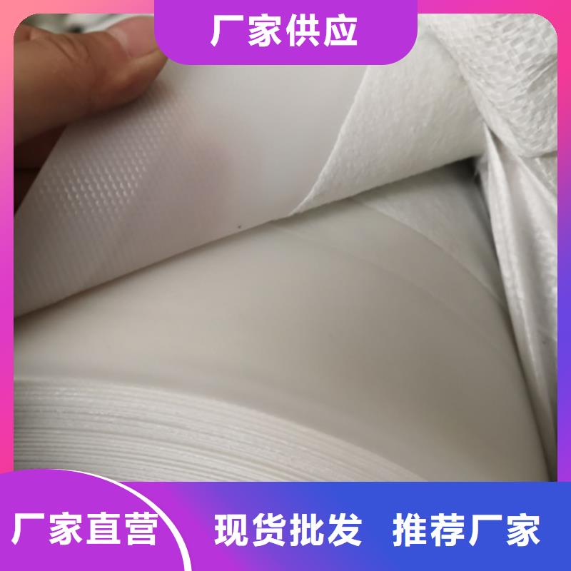 垃圾场防渗膜哪里有