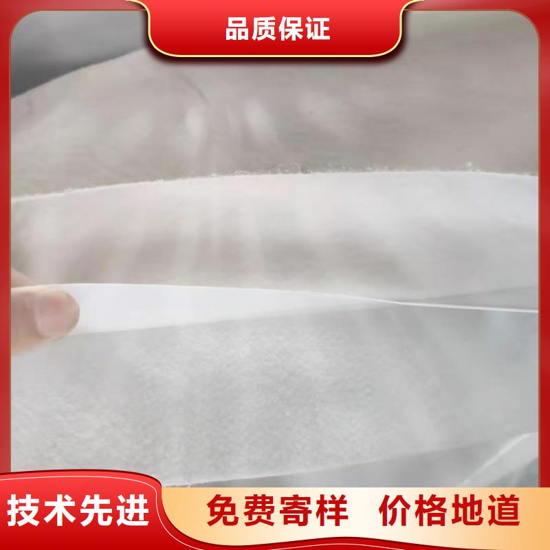 土工膜单向塑料土工格栅实力雄厚品质保障