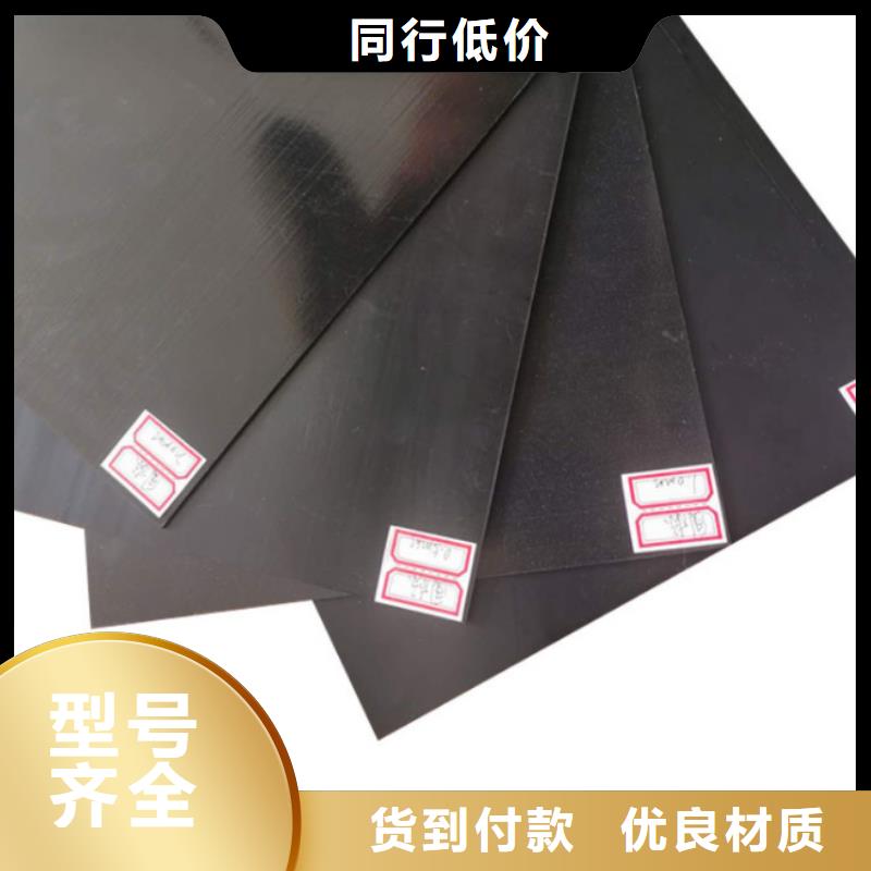 土工膜玻纤土工格栅专业生产品质保证