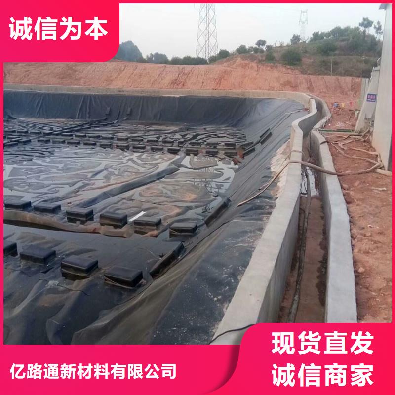 土工膜单向塑料土工格栅实力雄厚品质保障