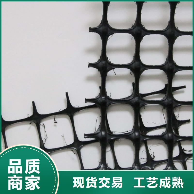 土工格栅聚丙烯双拉土工格栅质量优价格低