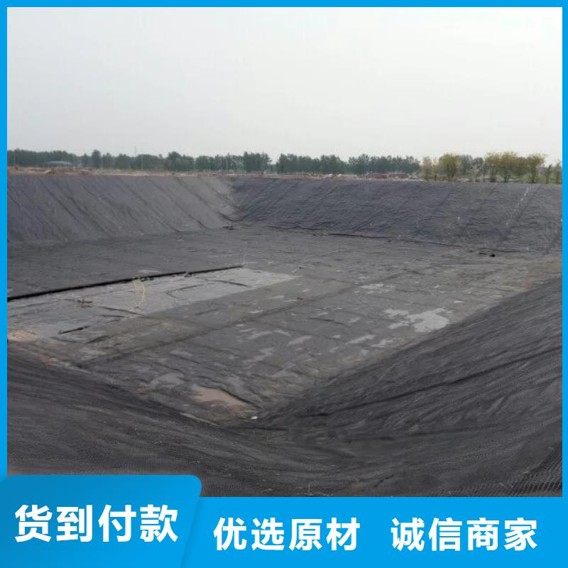 土工格栅三维土工网垫用心制造