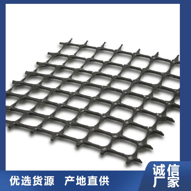 经编涤纶土工格栅厂家防渗反滤道路养护环保防尘