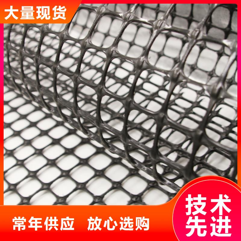 经编涤纶土工格栅厂家防渗反滤道路养护环保防尘