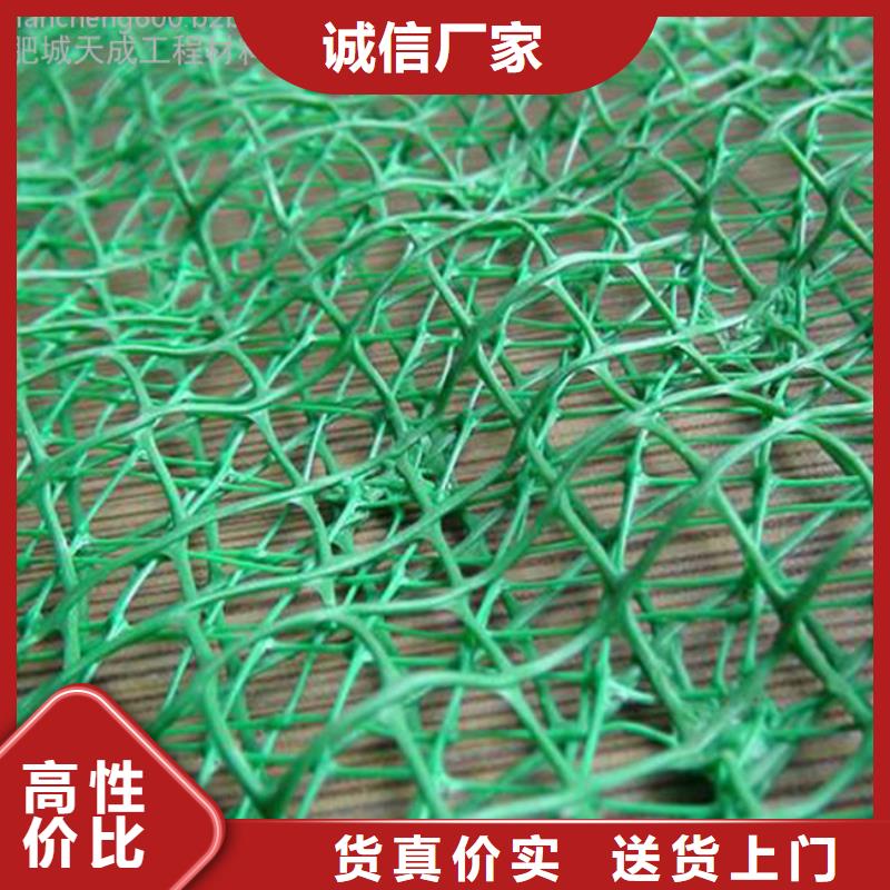 三维植被网_【单向塑料土工格栅】敢与同行比价格