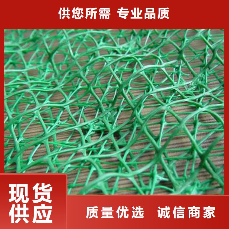 三维植被网生产厂家-2025年新价格行情